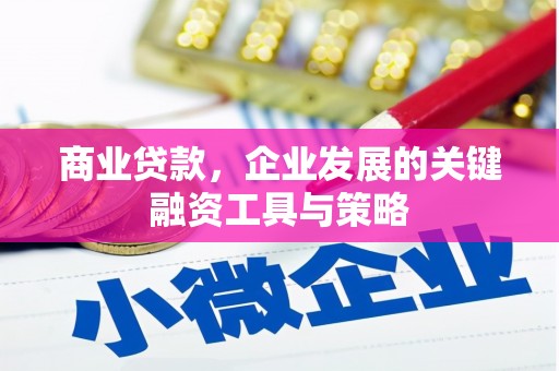 东明商业贷款，企业发展的关键融资工具与策略