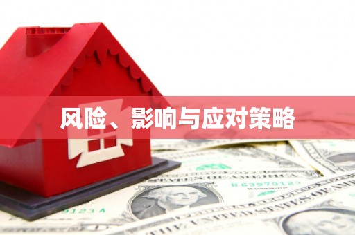 东明风险、影响与应对策略