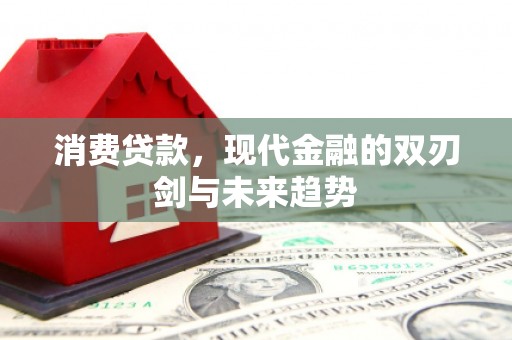 东明消费贷款，现代金融的双刃剑与未来趋势