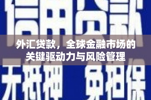 东明外汇贷款，全球金融市场的关键驱动力与风险管理