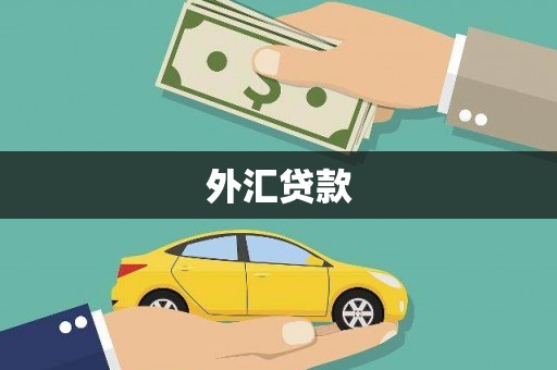 东明外汇贷款