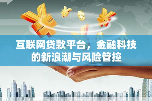 东明互联网贷款平台，金融科技的新浪潮与风险管控