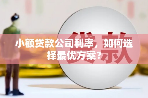东明小额贷款公司利率，如何选择最优方案？