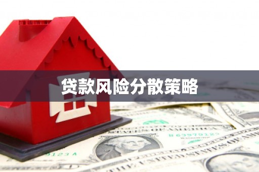 东明贷款风险分散策略