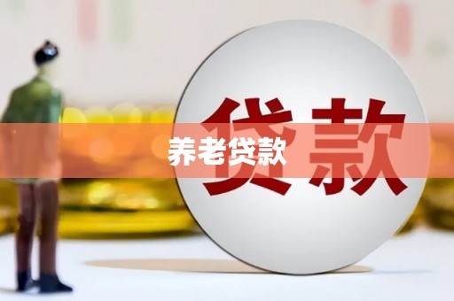 东明养老贷款