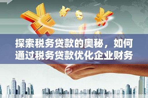 东明探索税务贷款的奥秘，如何通过税务贷款优化企业财务