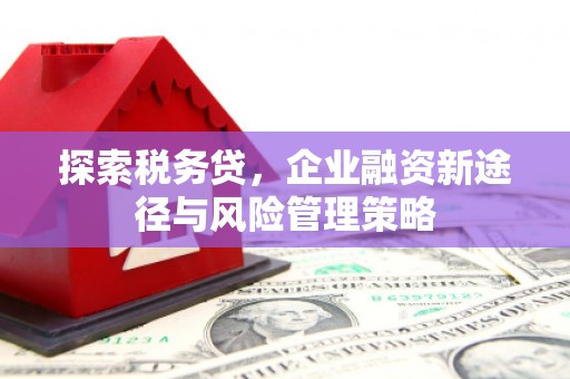 东明探索税务贷，企业融资新途径与风险管理策略