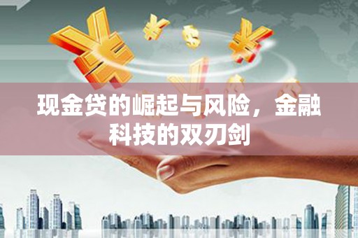 东明现金贷的崛起与风险，金融科技的双刃剑