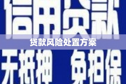 东明贷款风险处置方案