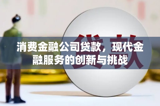 东明消费金融公司贷款，现代金融服务的创新与挑战