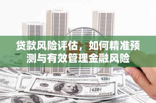 东明贷款风险评估，如何精准预测与有效管理金融风险