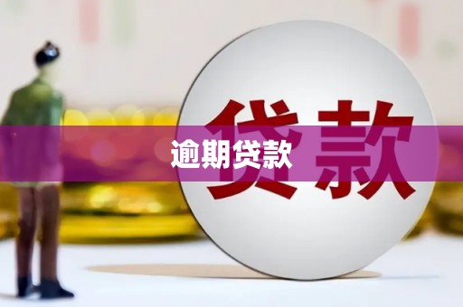 东明逾期贷款