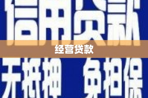 东明经营贷款