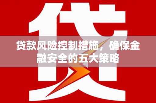 东明贷款风险控制措施，确保金融安全的五大策略