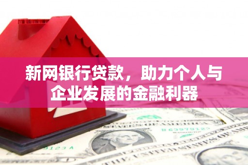 东明新网银行贷款，助力个人与企业发展的金融利器
