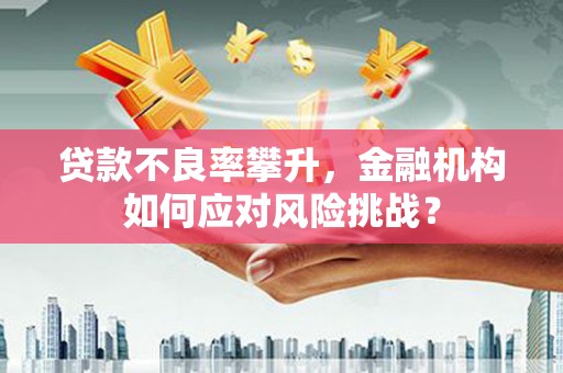 东明贷款不良率攀升，金融机构如何应对风险挑战？