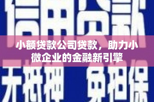 东明小额贷款公司贷款，助力小微企业的金融新引擎