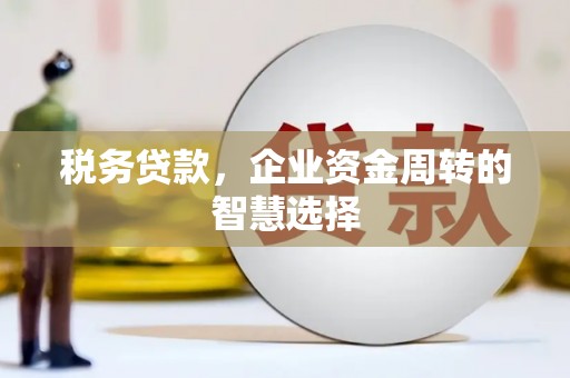 东明税务贷款，企业资金周转的智慧选择