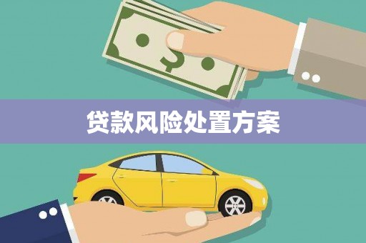 东明贷款风险处置方案
