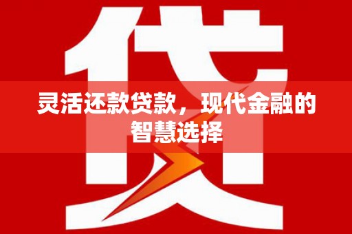 东明灵活还款贷款，现代金融的智慧选择