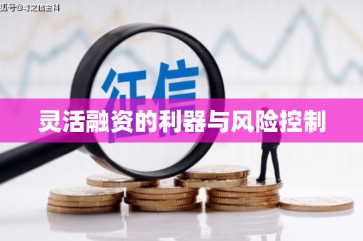 东明灵活融资的利器与风险控制