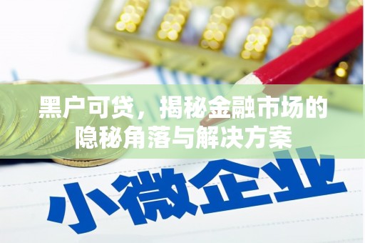 东明黑户可贷，揭秘金融市场的隐秘角落与解决方案