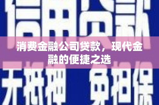 东明消费金融公司贷款，现代金融的便捷之选