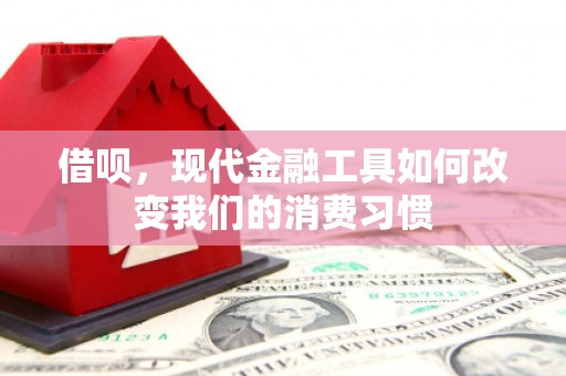东明借呗，现代金融工具如何改变我们的消费习惯