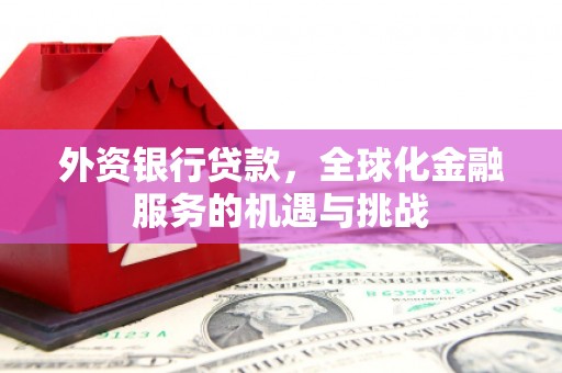 东明外资银行贷款，全球化金融服务的机遇与挑战