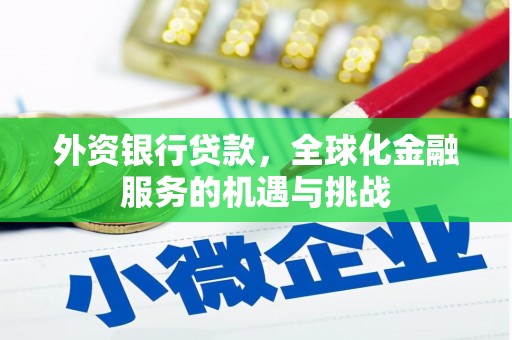 东明外资银行贷款，全球化金融服务的机遇与挑战