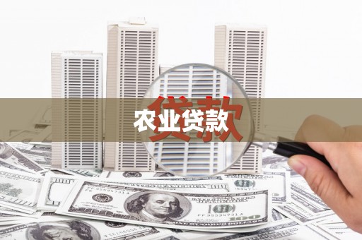 东明农业贷款
