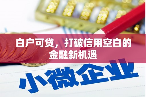 东明白户可贷，打破信用空白的金融新机遇