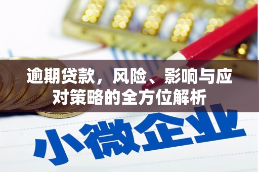 东明逾期贷款，风险、影响与应对策略的全方位解析