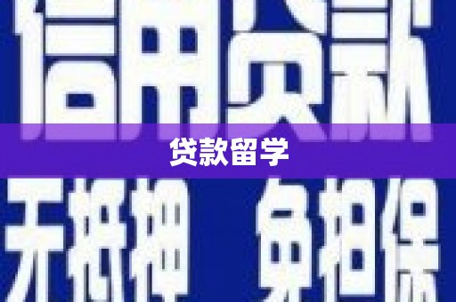 东明贷款留学