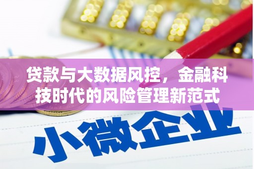 东明贷款与大数据风控，金融科技时代的风险管理新范式