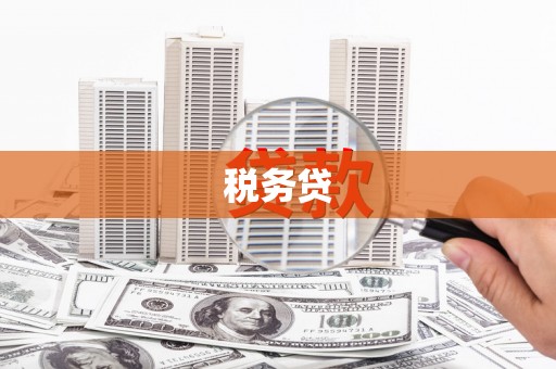 东明税务贷