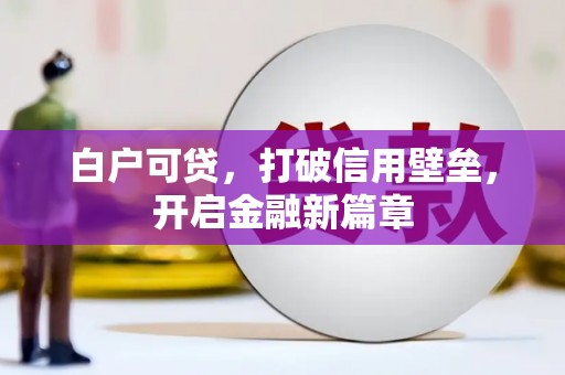东明白户可贷，打破信用壁垒，开启金融新篇章