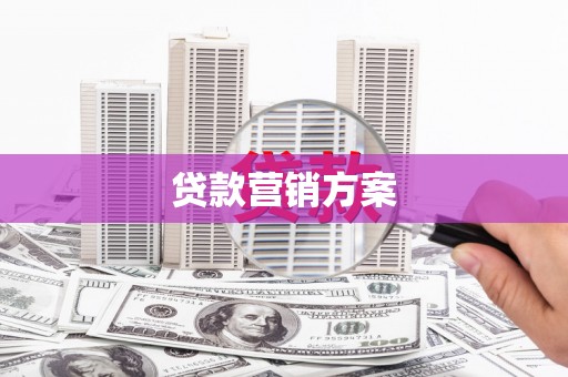 东明贷款营销方案