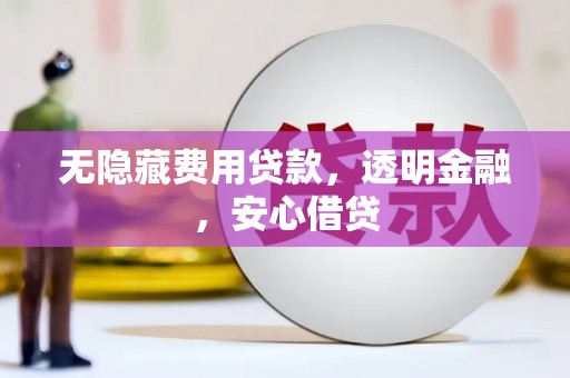 东明无隐藏费用贷款，透明金融，安心借贷