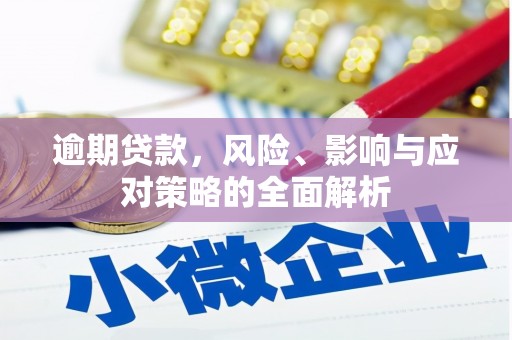 东明逾期贷款，风险、影响与应对策略的全面解析