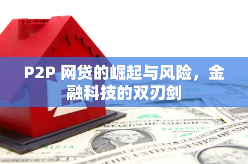 东明P2P 网贷的崛起与风险，金融科技的双刃剑