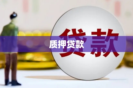 东明质押贷款