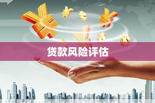 东明贷款风险评估