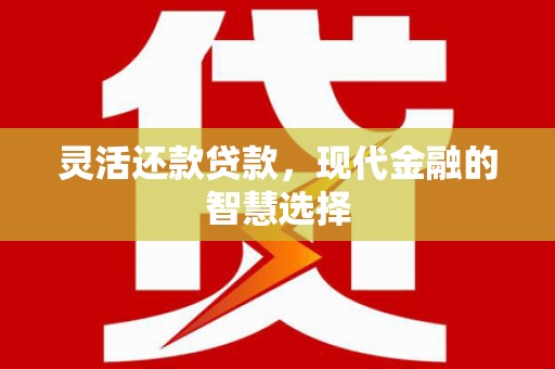 东明灵活还款贷款，现代金融的智慧选择