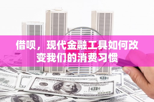 东明借呗，现代金融工具如何改变我们的消费习惯