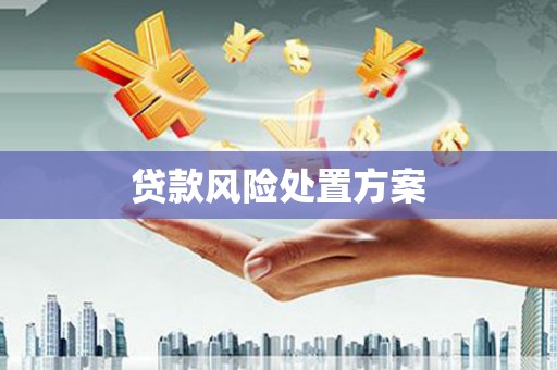东明贷款风险处置方案