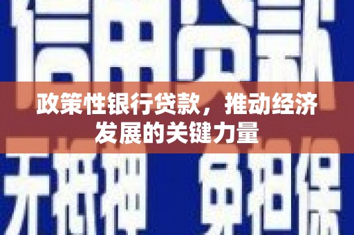 东明政策性银行贷款，推动经济发展的关键力量