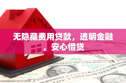东明无隐藏费用贷款，透明金融，安心借贷