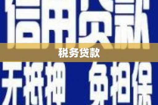 东明税务贷款