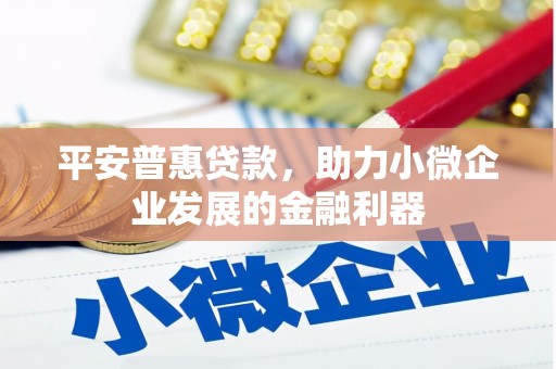 东明平安普惠贷款，助力小微企业发展的金融利器